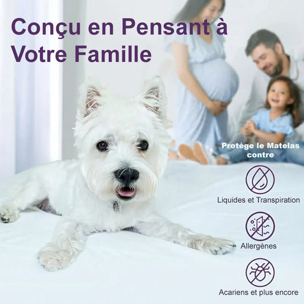 CLOUDREAM-3831127613059-FR-5__311225